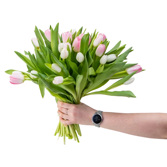 Bouquet of pink tulips